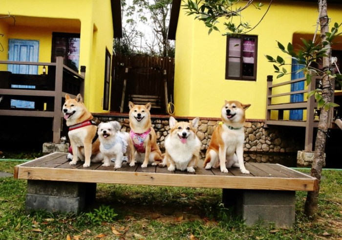 苗栗包棟民宿推薦