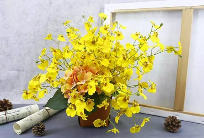 蘭花怕什麼？完整解析蘭花養護禁忌與實用解決方案