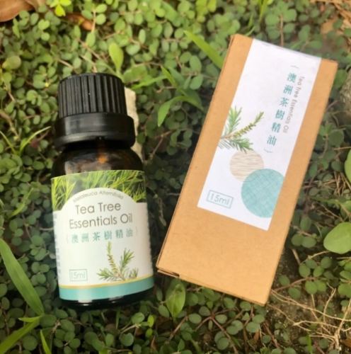 茶樹精油推薦