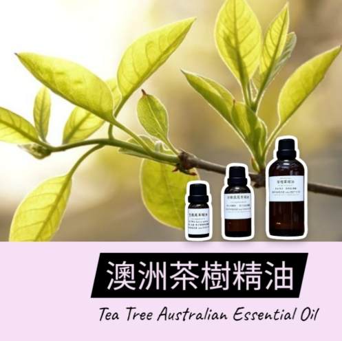茶樹精油怎麼用