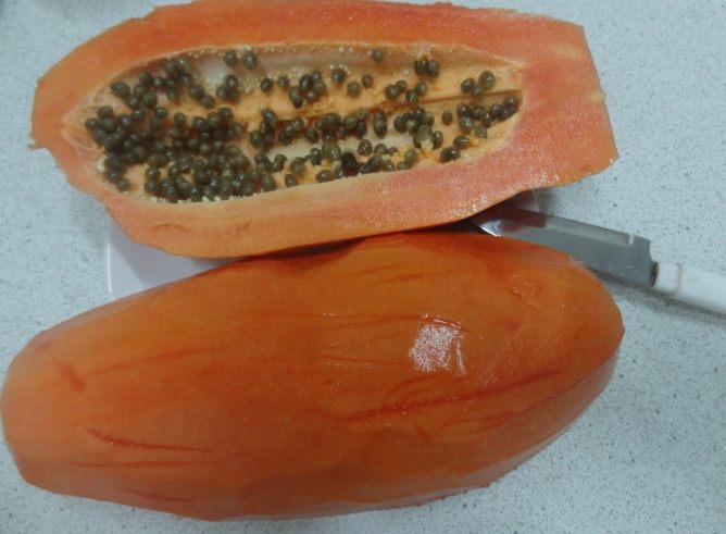 木瓜樹壽命延長