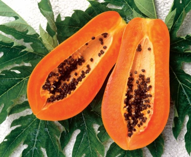 紅妃木瓜生長周期