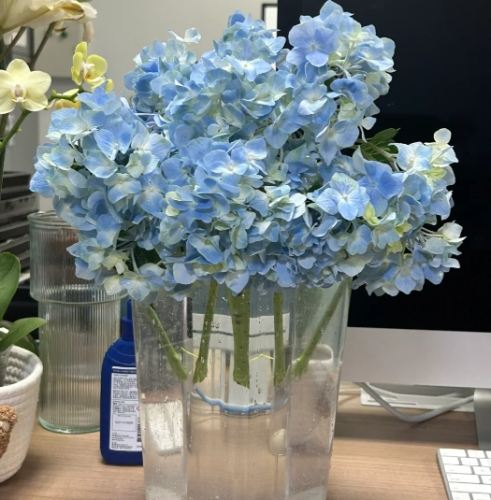 繡球花復活方法 繡球花復活方法