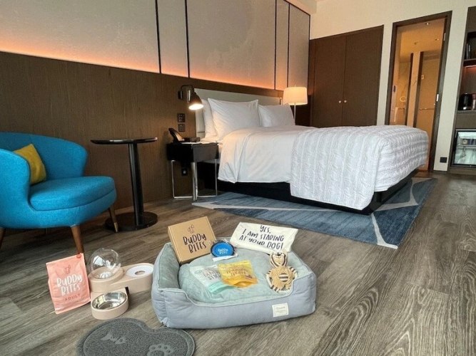 苗栗寵物友善飯店