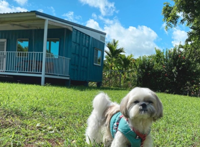 苗栗帶寵物住宿