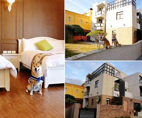 大湖寵物友善住宿