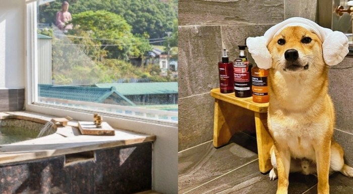 北投溫泉寵物友善