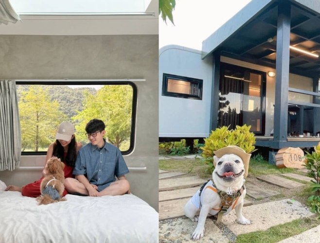 新竹懶人露營寵物友善