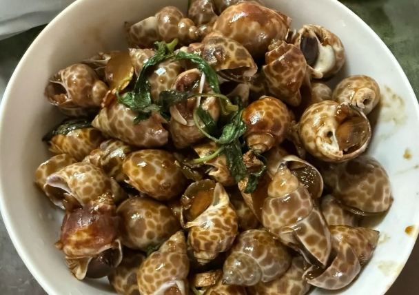 鳳螺食用安全 鳳螺食用安全