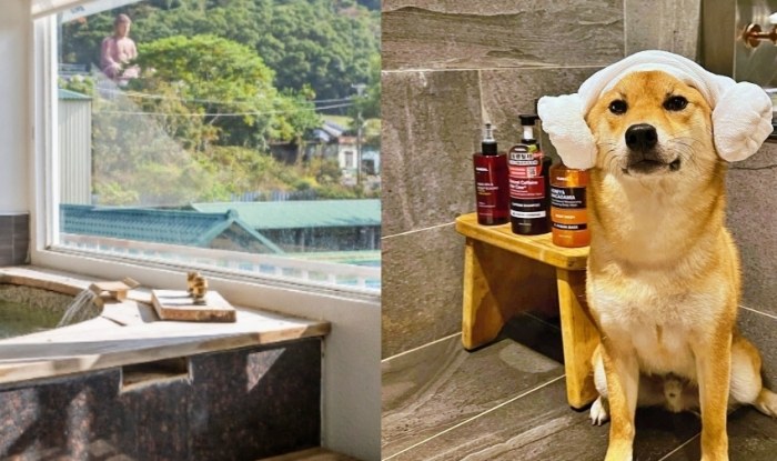 泰安溫泉寵物友善