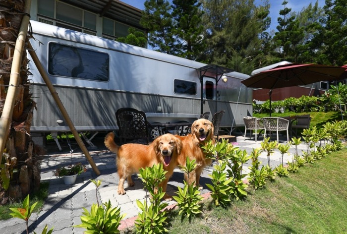 花蓮寵物友善露營