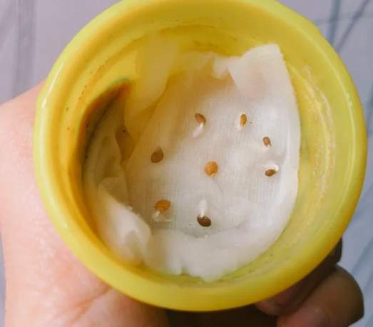 種子處理 種子處理