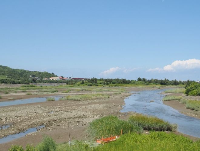 苗栗後龍景點 苗栗後龍景點