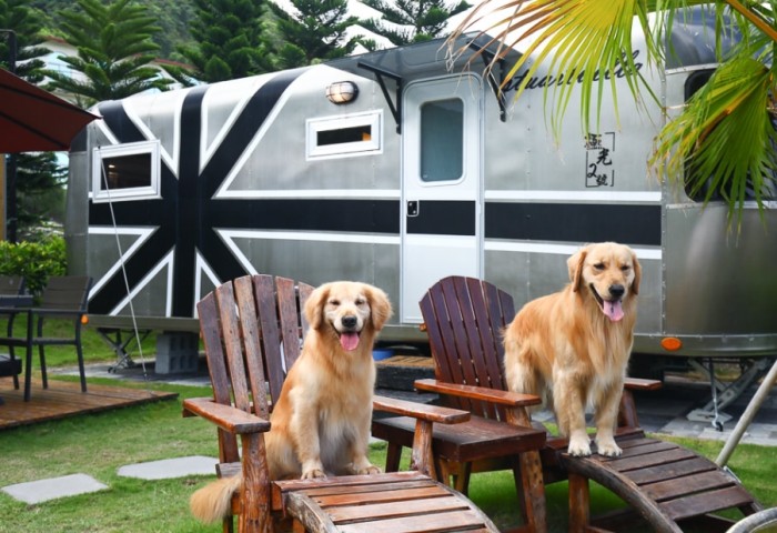 苗栗寵物友善露營車