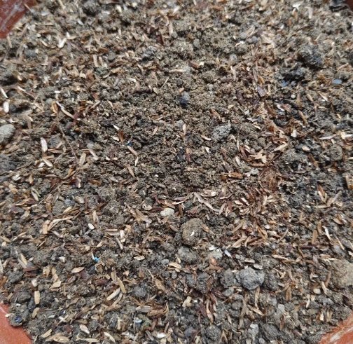 蘭花盆器 蘭花盆器