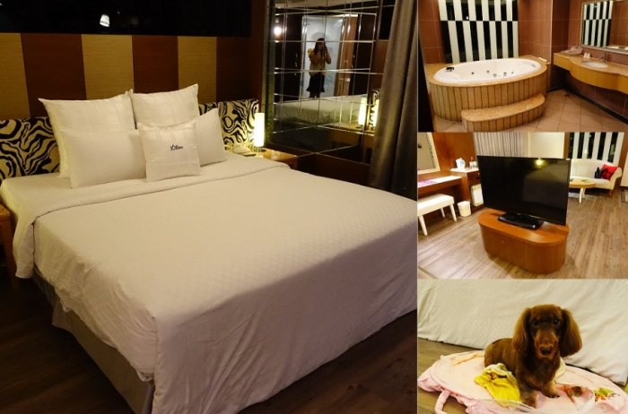 內灣寵物友善住宿