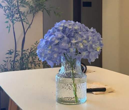 水培方法 水培方法