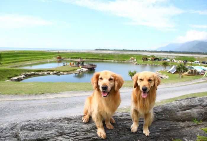 花蓮露營推薦