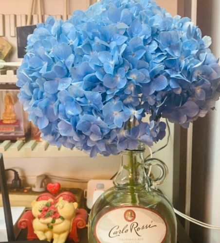 繡球花水培