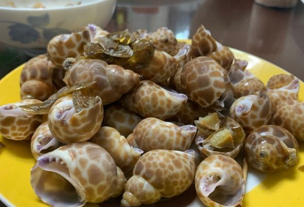 鳳螺不能吃部位 鳳螺不能吃部位