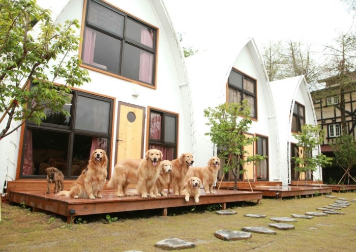 寵物友善露營地推薦