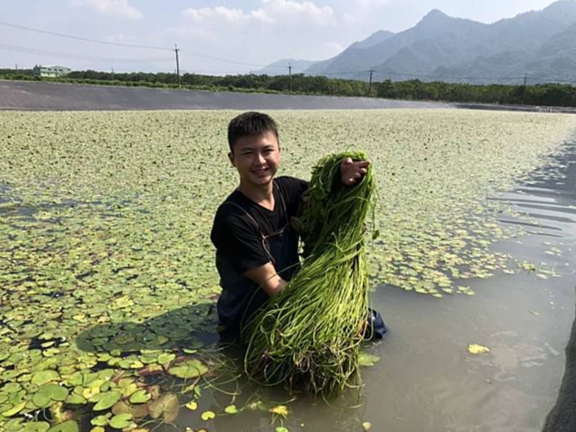 水蓮養護技巧 水蓮養護技巧