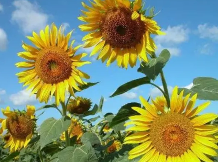 泡水時間 泡水時間