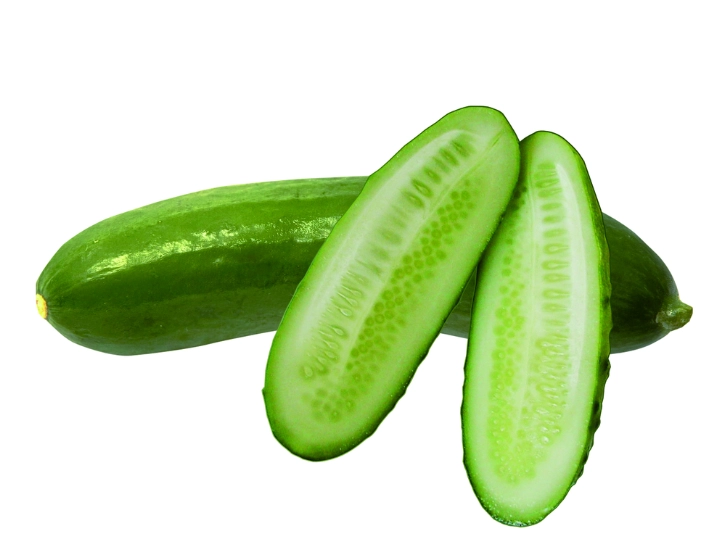 小黃瓜病蟲害防治