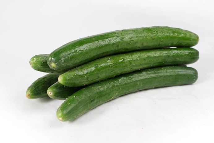 小黃瓜病蟲害防治