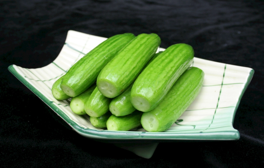 小黃瓜種植季節