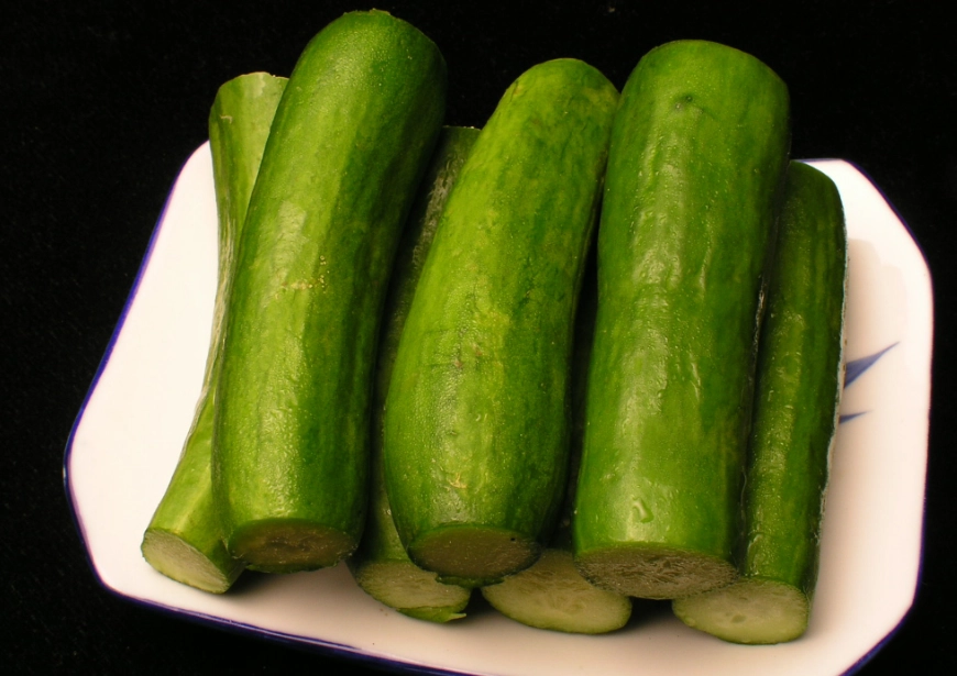 台灣小黃瓜栽培