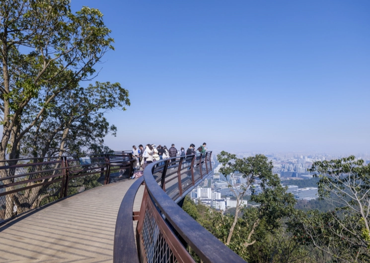 榛山觀景台雲海