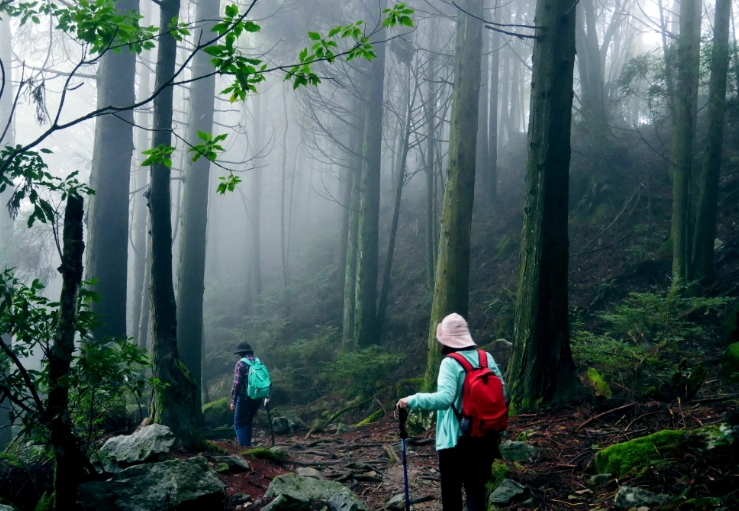 榛山步道登山準備