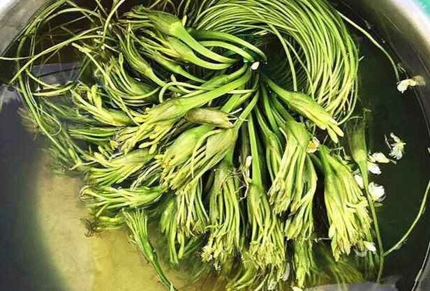 水蓮菜栽培方法