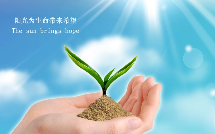 種子發芽光照條件 種子發芽光照條件