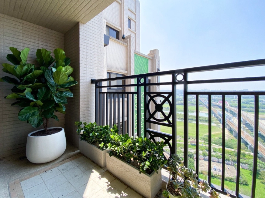 小葉琴葉榕修剪時間