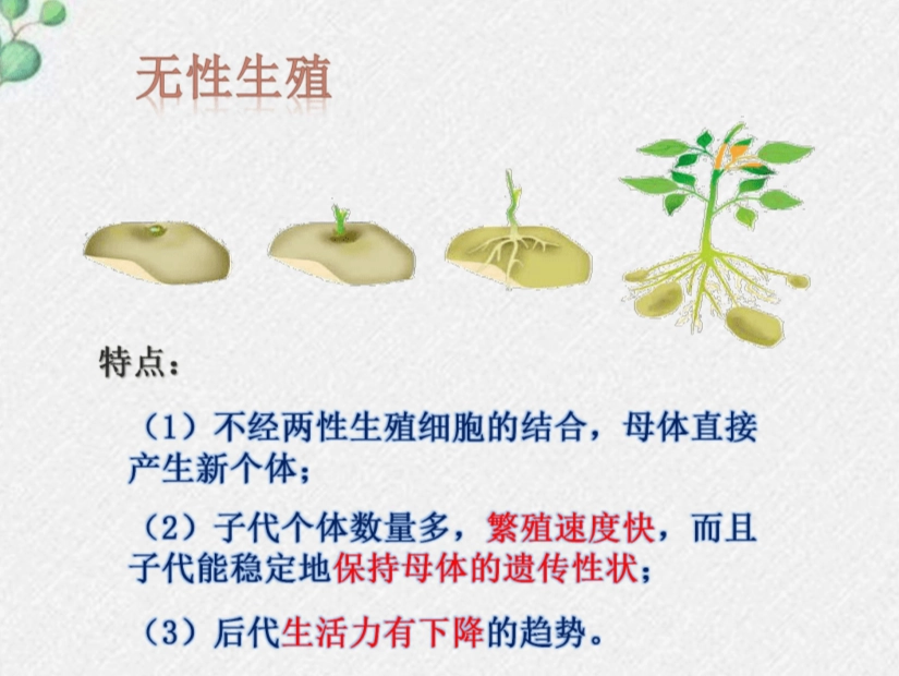 無性繁殖優缺點