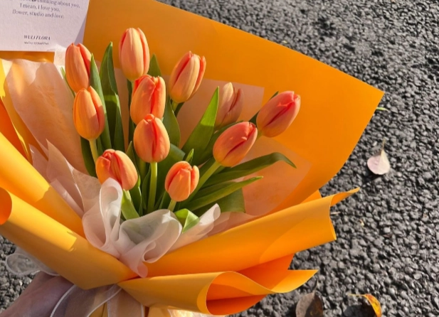 鬱金香水養方法