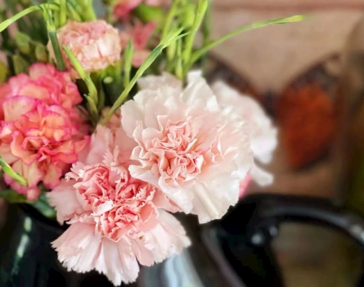 康乃馨分枝時機