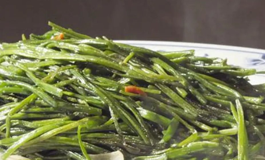 水蓮壞掉原因 水蓮壞掉原因