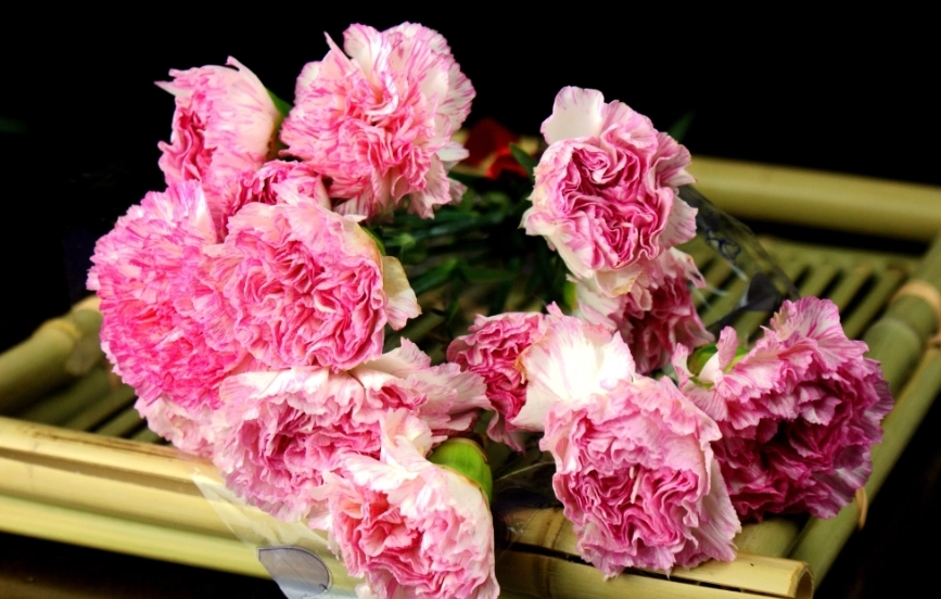 康乃馨溫度控制