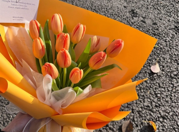 鬱金香水種方法