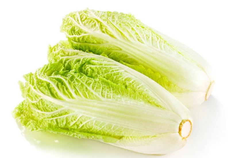 娃娃菜保存時間