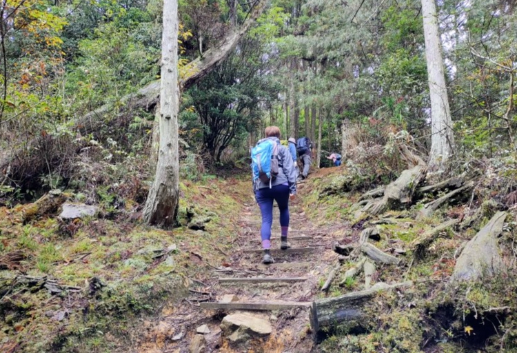榛山步道爬升