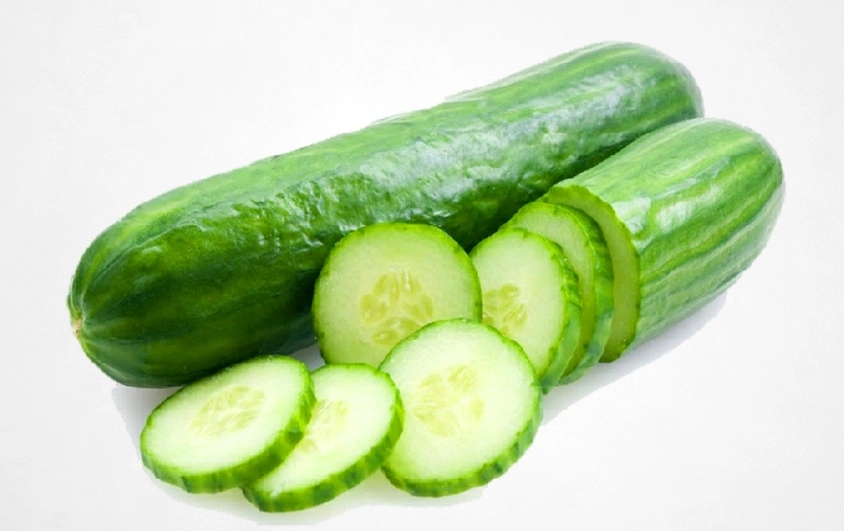 南部小黃瓜種植時間