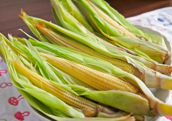 玉米筍處理